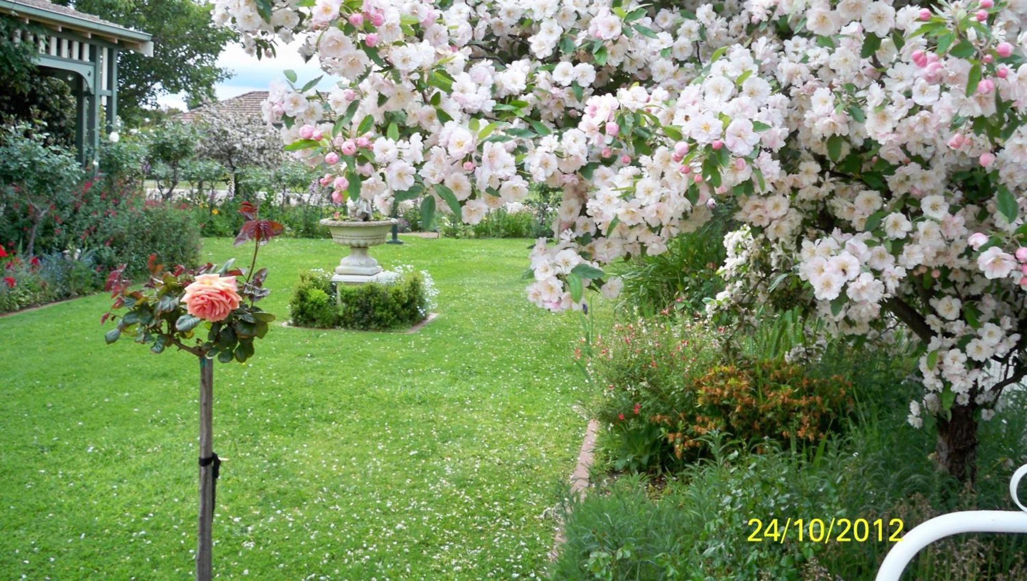 Dalfruin B&B Bairnsdale Luaran gambar