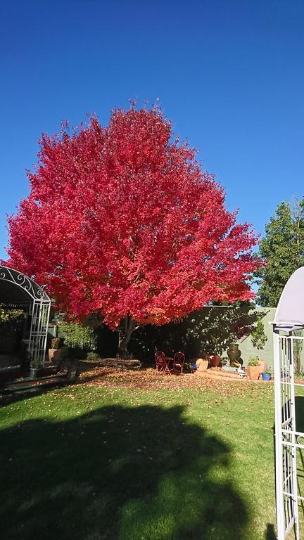 Dalfruin B&B Bairnsdale Luaran gambar
